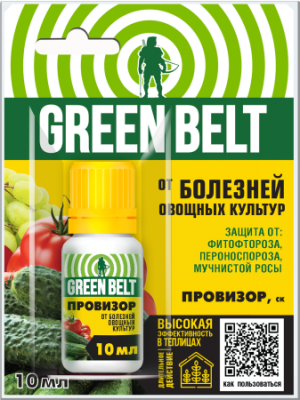 провизор