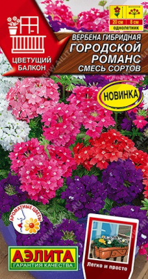Вербена Городской романс смесь сортов