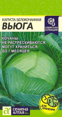Капуста Вьюга