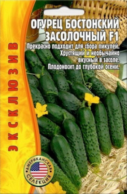 Огурец Бостонский засолочный