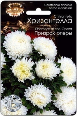 Хризантелла Призрак оперы