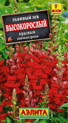 Львиный зев Высокорослый красный