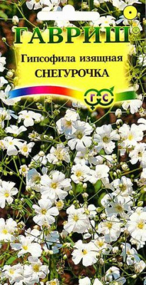 Гипсофила Снегурочка изящная
