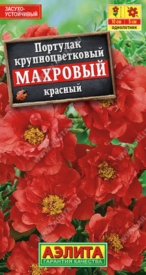 Портулак махровый красный