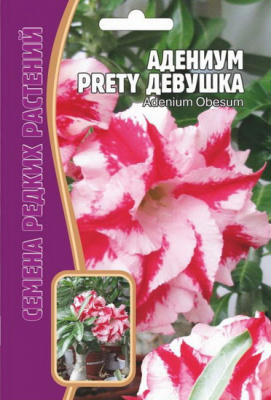 Адениум Прелестная девушка