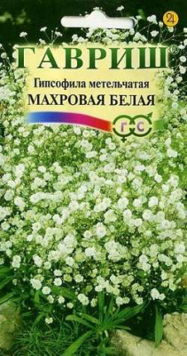 Гипсофила Махровая Белая Метельчатая