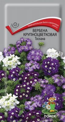 Вербена Тоскана