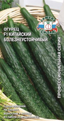 Огурец Китайский Болезнеустойчивый