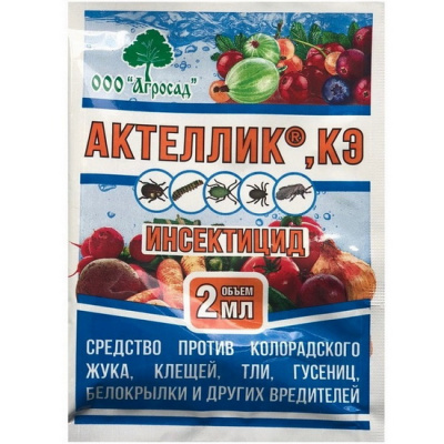 aktellik