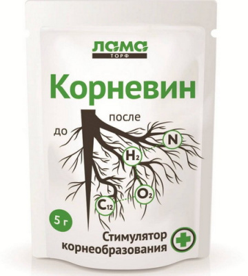Корневин