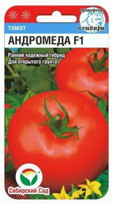 томат Андромеда