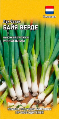 Лук батун Байя Верде