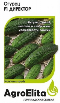 Огурец Директор