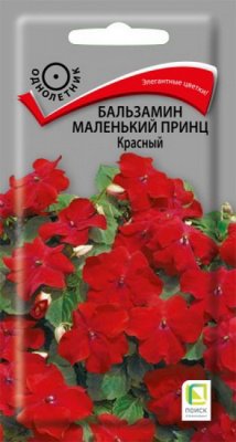 Бальзамин Маленький принц красный
