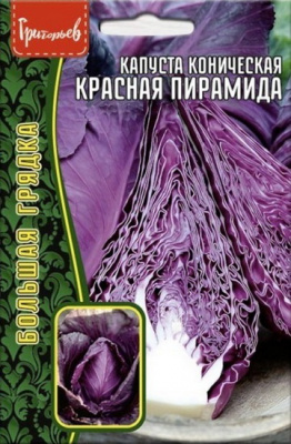 Капуста краснокочанная Красная пирамида