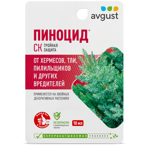 Pinocid_10ml
