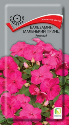 Бальзамин Маленький принц розовый