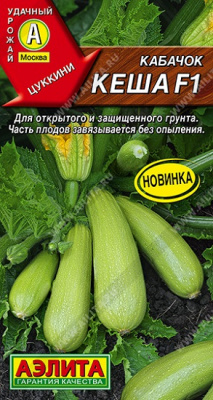 Кабачок цуккини Кеша