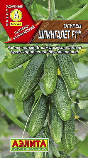 огурец шпингалет огурец шпингалет