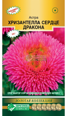 Хризантелла Сердце Дракона