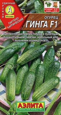 Огурец Гинга