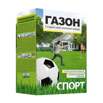 Спорт