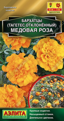 Бархатцы Медовая роза