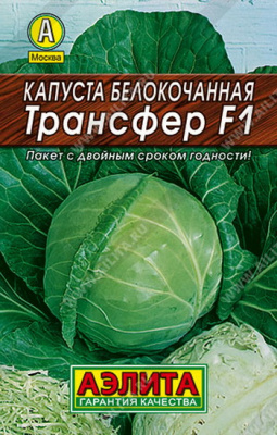 Капуста белокочанная Трансфер-серия Лидер