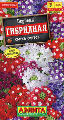 Вербена гибридная, смесь сортов