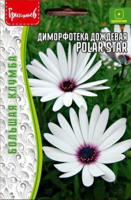 Диморфотека Polar Star дождевая