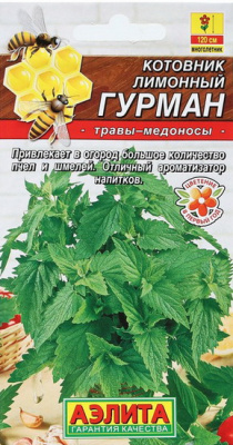 Котовник лимонный Гурман