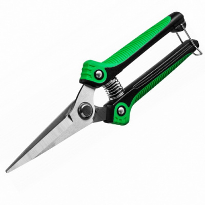 423080