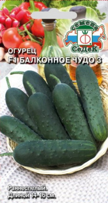 Огурец Балконное Чудо 3