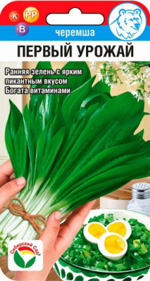 Черемша первый урожай