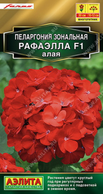 Пеларгония Рафаэлла F1, алая