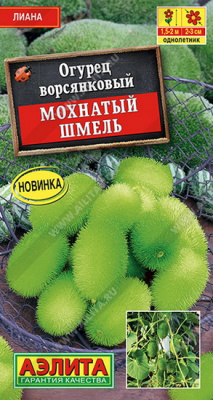 Огурец Мохнатый шмель