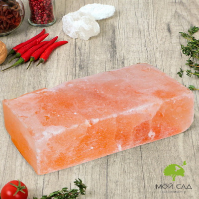 Кирпич из гималайской соли, шлифованный, 20х10х5см.