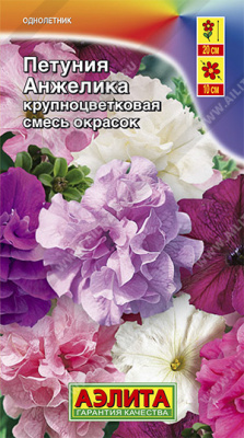 Петуния Анжелика, смесь окрасок