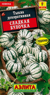 Тыква Сладкая булочка декоративная
