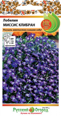 Лобелия Миссис Клибран