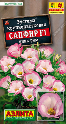 Эустома Сапфир Пинк Рим