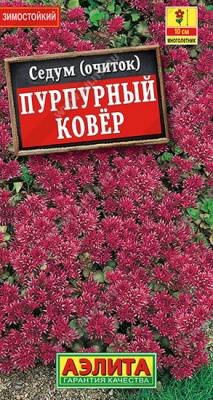 Седум (очиток) Пурпурный ковер