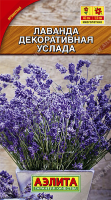 Лаванда декоративная Услада