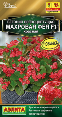 Бегония вечноцветущая Фея махровая красная