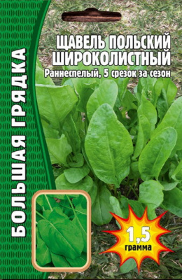 Щавель Польский Широколистный