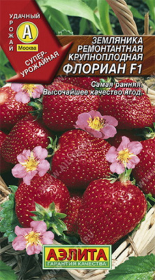 Земляника Флориан