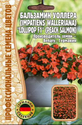 Бальзамин Уоллера Lollipop Peach Salmon