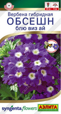Вербена Обсешн Блю виз Ай