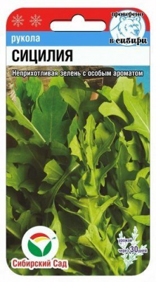 Рукола (Индау посевная) Сицилия