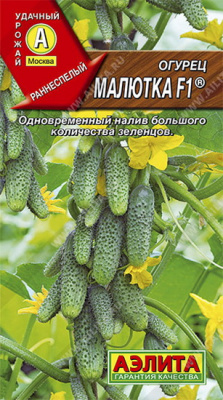 Огурец Малютка